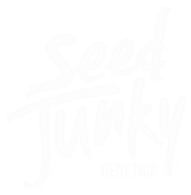 317608 ad42567584724d70890f40cb0754c7e2mv2 1