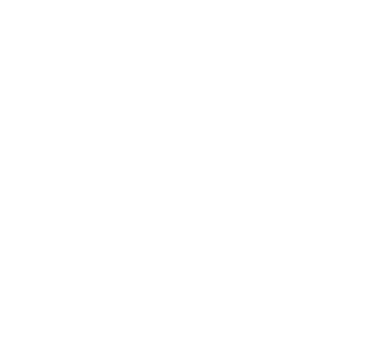 Willies Remedy Logo TM CYBD 1 1